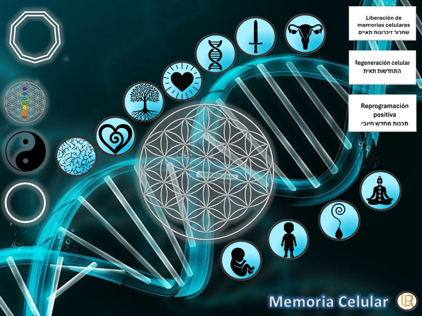 Mesa Memoria Celular