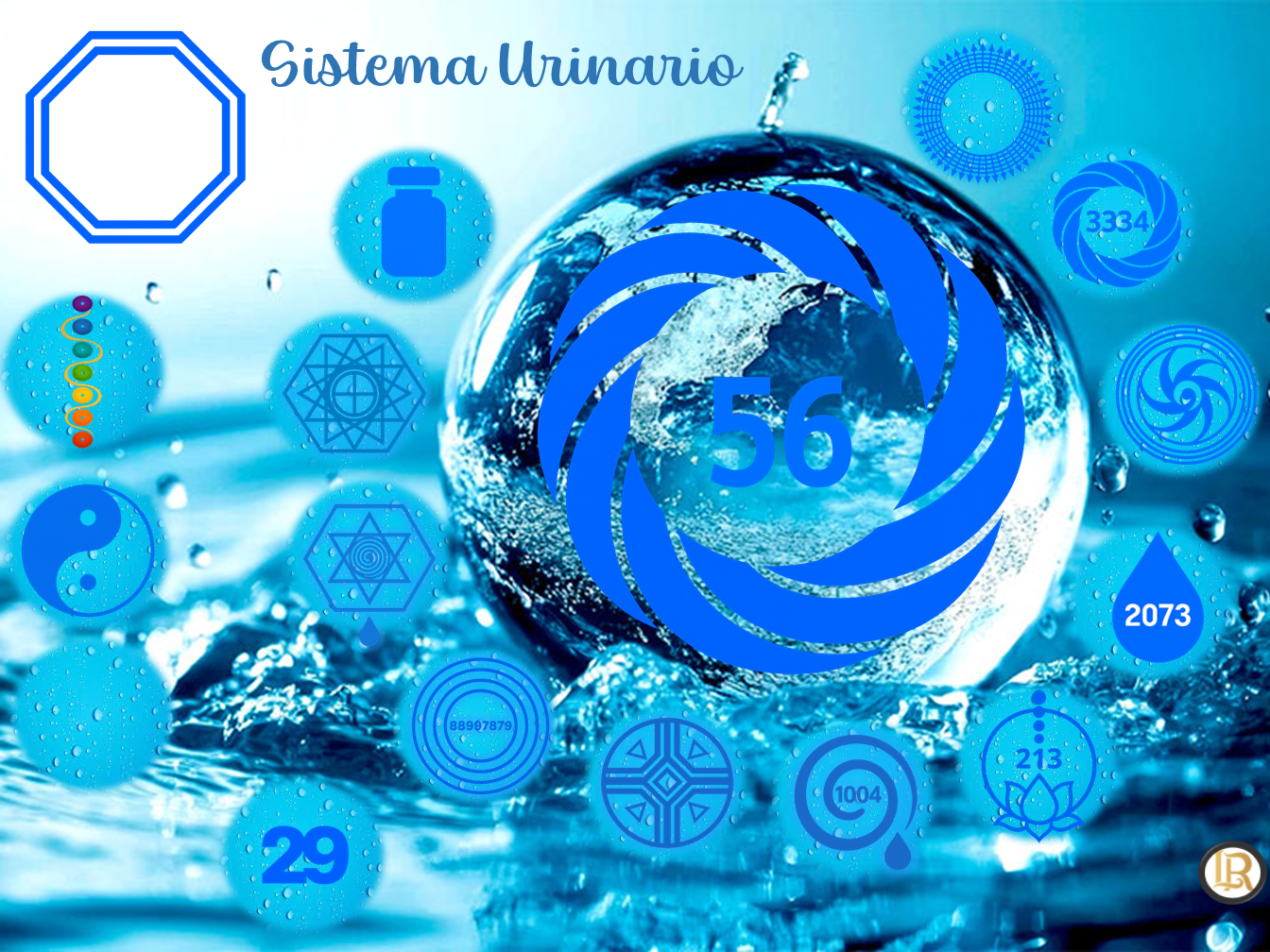 Mesa Sistema Urinario